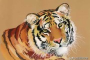 壬寅年生肖鼠运势解析，Tiger vs Mouse