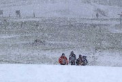 梦见大雪纷飞，周公解梦解析与现实启示