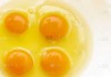 解梦，梦见看见许多蛋黄的寓意与象征