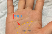 掌纹三条线吉凶详解，揭秘手掌秘密，掌握命运走向