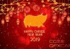 2019年，year of the猪，吉时满满
