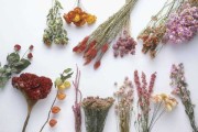 干花，家居中的神秘能量