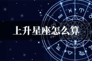 十二星座，长大后会变成什么？