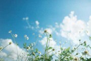 2020年8月5日，一个的日子
