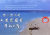 解的救赎，一只鸟的启示