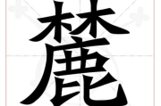 �麓字取名的吉凶解析及寓意