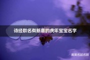 诗意盎然，如何运用古诗为宝宝取名，传承文化之美