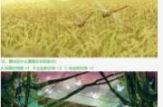 吉凶，揭示内心深处的秘密与未来命运