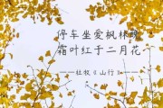，我需要解释为什么这一天是吉时，可能涉及传统习俗、学或者人们在这一天进行哪些活动。比如，这一天可能适合结婚、求子、开业等，因为鼠年被认为是的年份