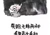 十二星座听什么能睡着觉