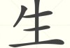 生起是什么意思