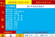 生肖运势解析，每日运程助你掌控 destiny