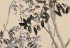 紫藤，Chinese Culture’s Secret Weapon for Feng Shui and Prosperity