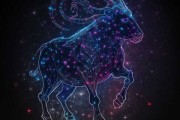 十二星座中的神秘山羊座，你的灵魂之home