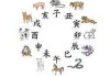 十二生肖相配对，吉凶解析与 Compatibility Insights