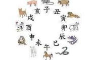 十二生肖相配对，吉凶解析与 Compatibility Insights