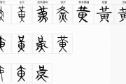 黄文男宝宝取名指南，寓意与搭配技巧