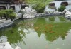 池塘旁边种什么树，选择与布局的讲究