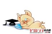 属猪人今日运势解析，事业与健康 focus on your future