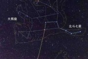 十二星座都是什么熊？真相大揭秘！