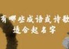 姓苏宝宝如何取名好听点，文化与趋势解析