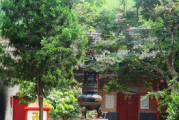 竹林寺求签算命，一场跨越时空的探索
