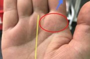 手纹看相，解读吉凶图表的奥秘