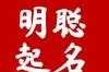 石聪字取名女宝宝，创意与寓意的结合