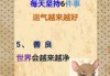 掌控五六点，掌控健康与生活
