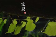 立夏将至，生肖运势解析，机遇与并存