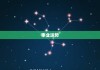 今年生肖猪运势，事业与健康的新机遇