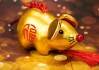 属鼠的你今年在哪里？财运、感情、健康全解析！