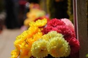 今天中元节祭拜吉时，缅怀先人，传承孝道
