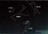 十二星座与小型犬，最佳搭配指南