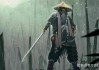 侠客，正义与阴影的双重奏