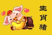 95年生肖猪本命年运势揭秘，连连，福星高照