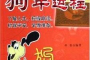 70年生肖狗运势，狗年运程解析与建议