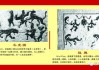 虎宝宝史延辈取名，传统与现代的融合