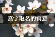 嘉字取名牛宝宝，寓意美好与
