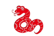 生肖属蛇的事业运势解析，如何在职场中脱颖而出