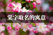 龙宝宝取名，棠字寓意美好，文化内涵丰富，为您的宝宝增添一抹灵动色彩