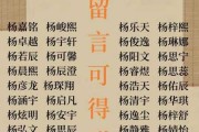 2023年杨姓男宝宝取名指南，创意与寓意并重