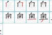 奥比岛，每天的签到，不仅是打卡，更是对自然的致敬