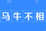 除了牛还有什么牛