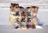 属虎名字部首吉凶，如何选择一个属虎宝宝的好名字