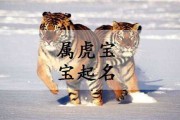 属虎名字部首吉凶，如何选择一个属虎宝宝的好名字