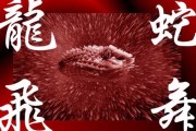生肖蛇运势解析与图片解析