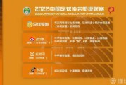中甲联赛解签结果，解读与影响分析