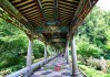 南华寺求签，一份心灵的祈祷与智慧的指引