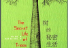 观花树，算命的 secrets you may not know